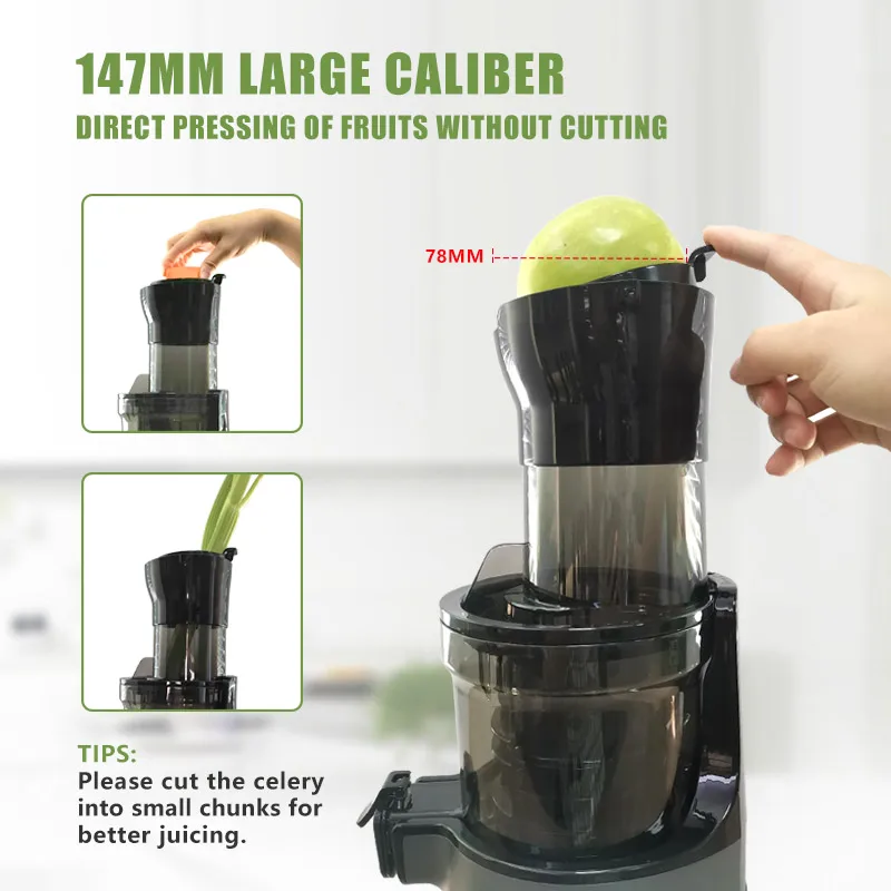 FirmHome StoreIslow Orange Cit - Juicer Cold Press Slow 评论和价格
