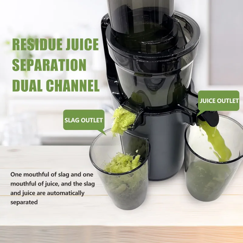 FirmHome StoreIslow Orange Cit - Juicer Cold Press Slow 评论和价格