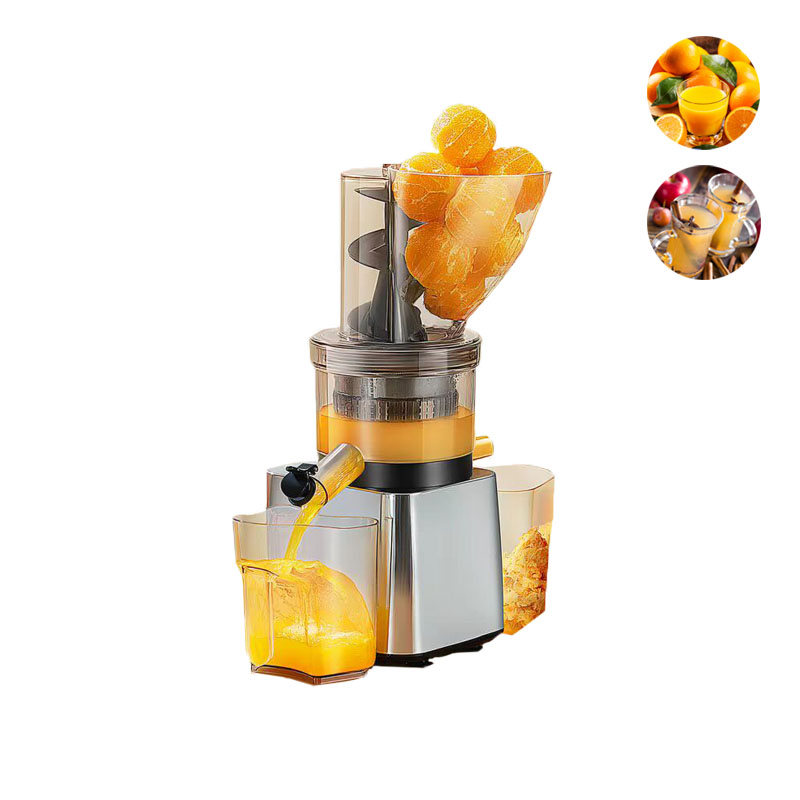 500W Hot Sale Silver Body Cold - Juicer Cold Press Slow 评论和价格
