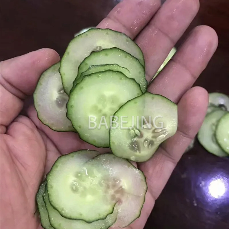 Electric Mini Scallion Chopper - Kitchen Appliances Electric 评论和价格