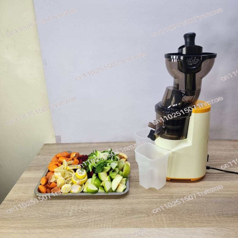 76mm Large Diameter Slow Juice - Juicer Cold Press Slow 评论和价格