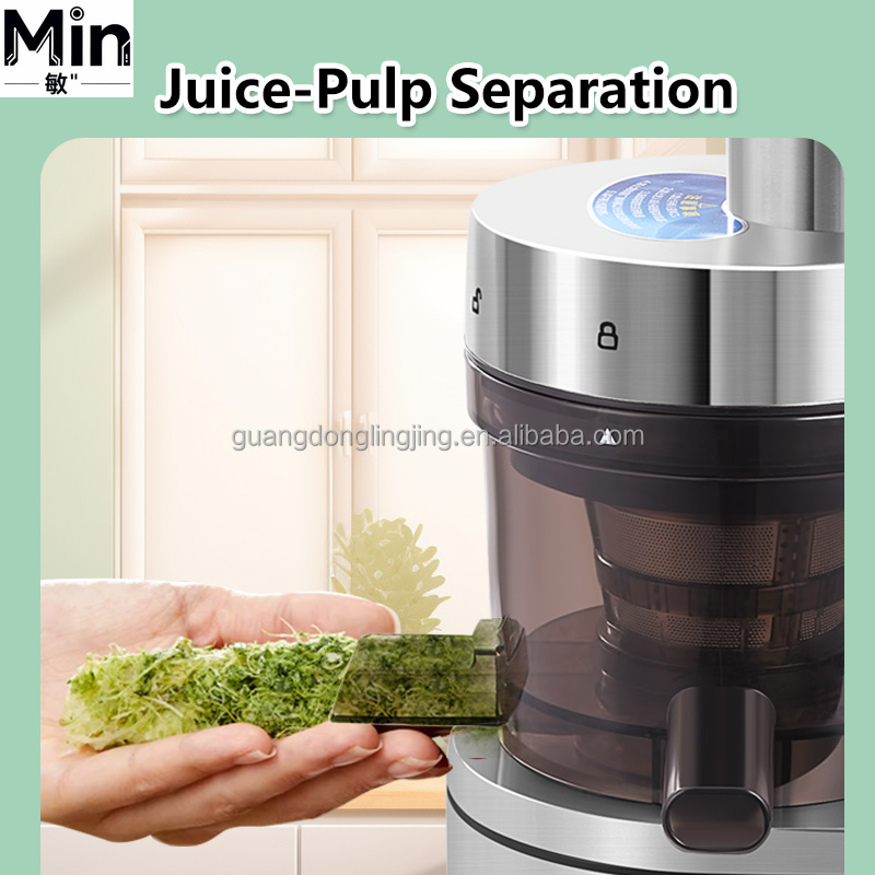 Favorable Price 1000W Commerci - Juicer Cold Press Slow 评论和价格